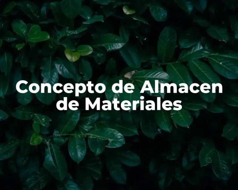 Concepto de Almacen de Materiales
