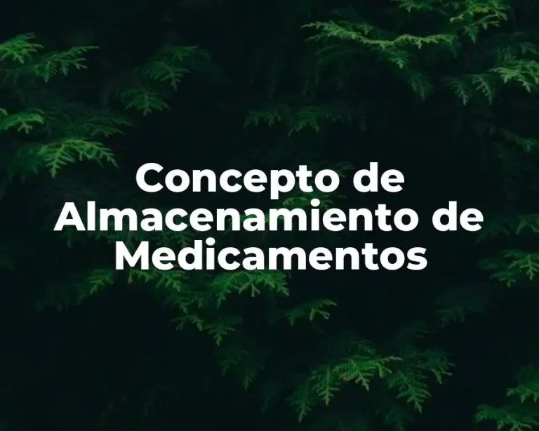 Concepto de Almacenamiento de Medicamentos