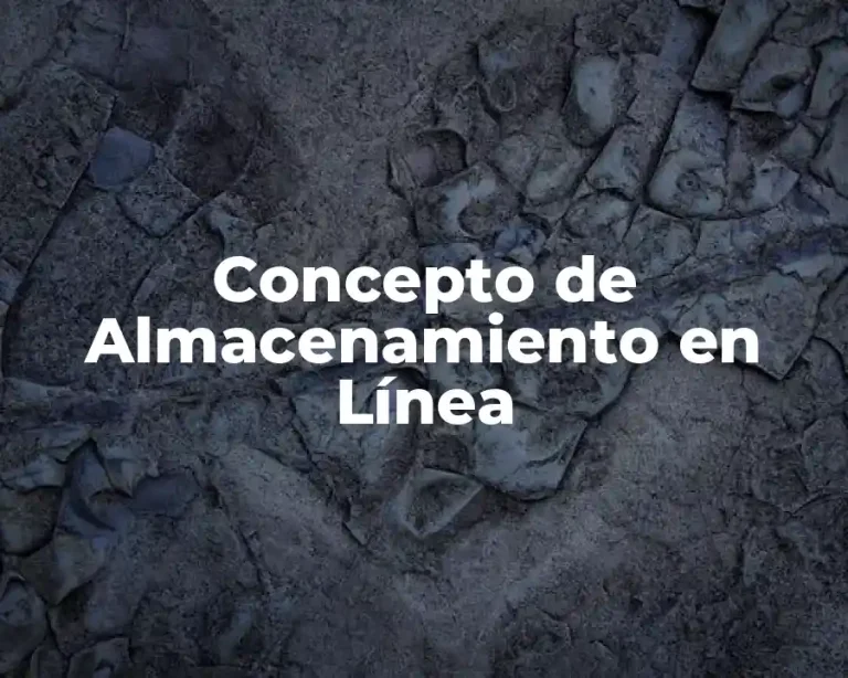 Concepto de Almacenamiento en Línea