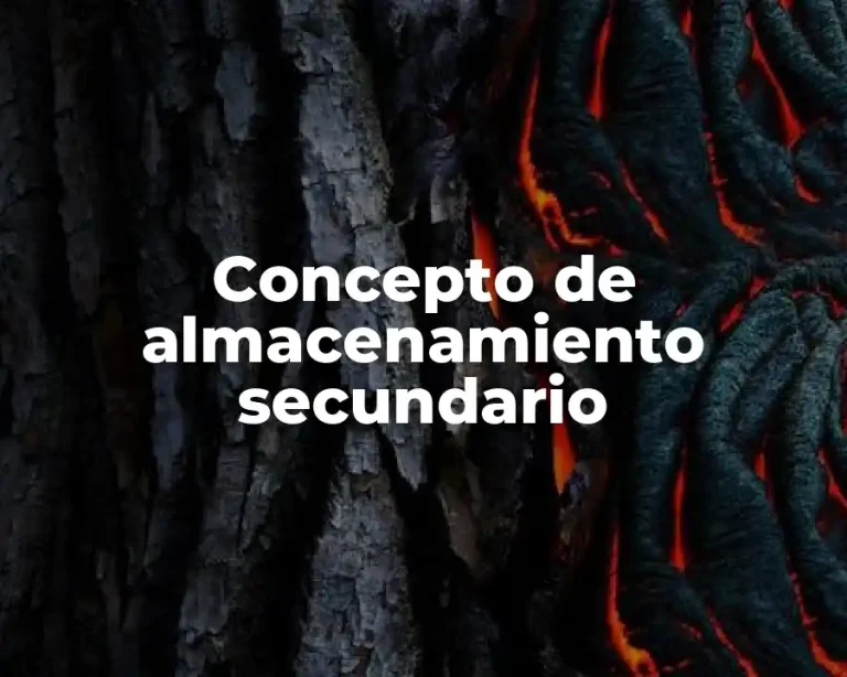 Concepto de almacenamiento secundario