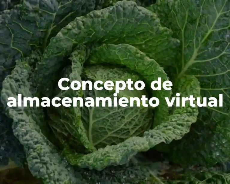 Concepto de almacenamiento virtual