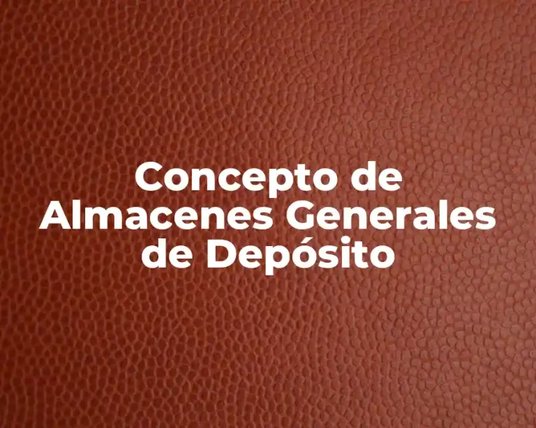 Concepto de Almacenes Generales de Depósito
