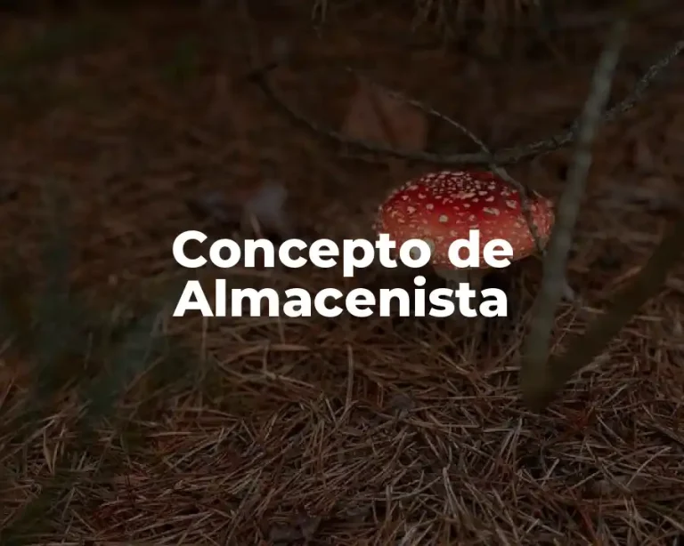Concepto de Almacenista