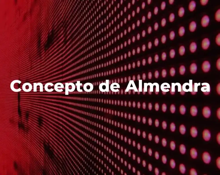 Concepto de Almendra