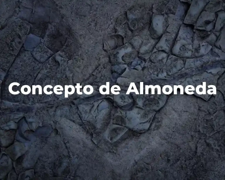 Concepto de Almoneda