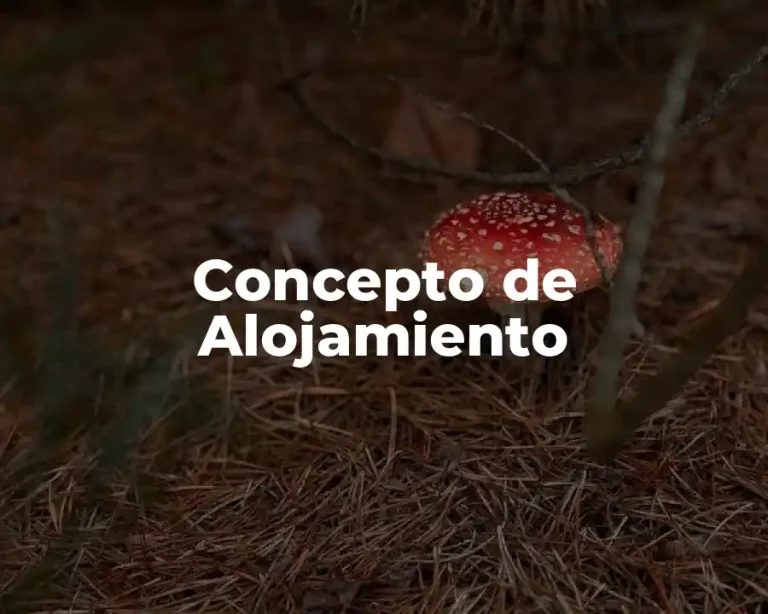 Concepto de Alojamiento