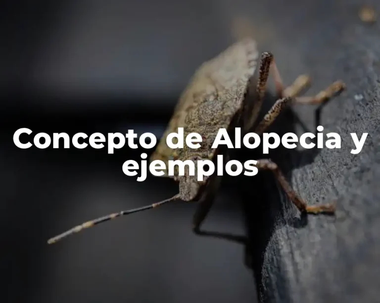 Concepto de Alopecia y ejemplos