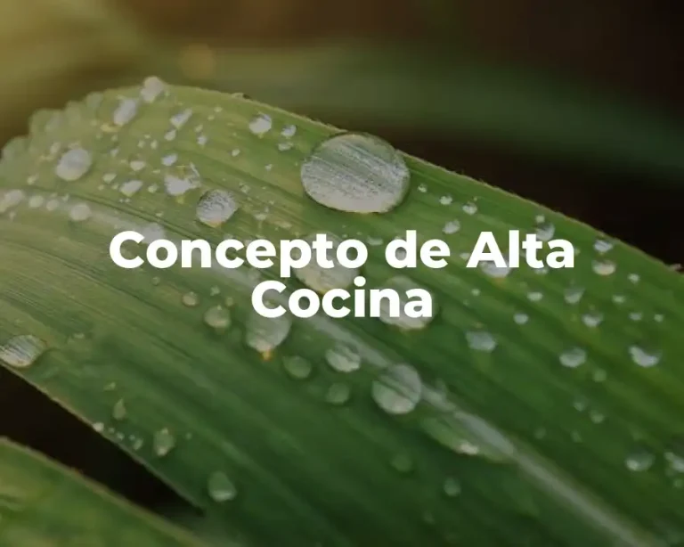 Concepto de Alta Cocina