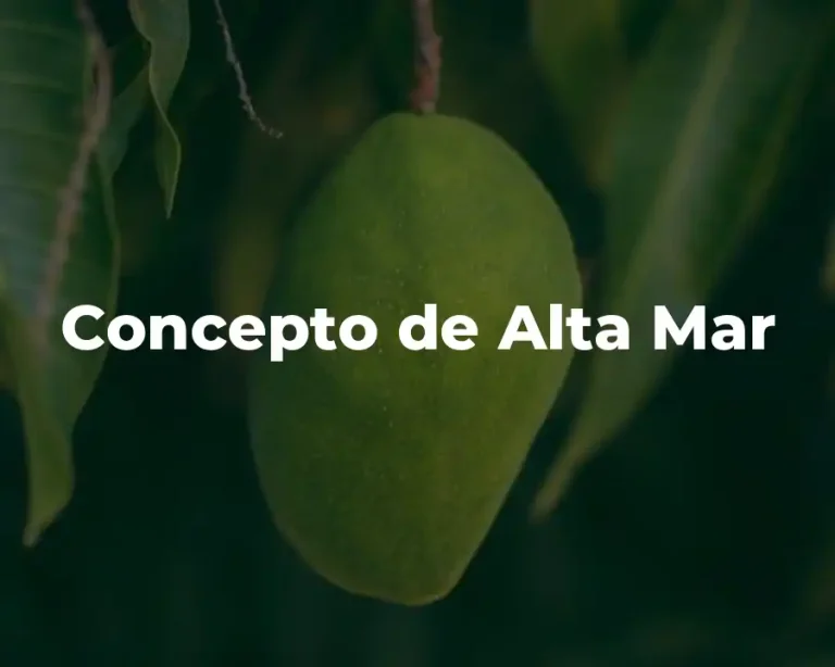 Concepto de Alta Mar