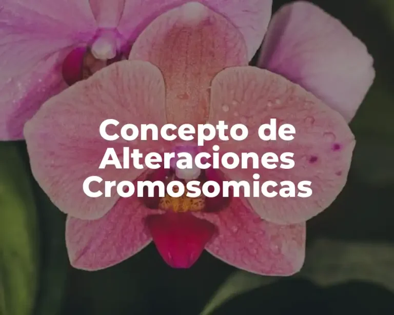 Concepto de Alteraciones Cromosomicas