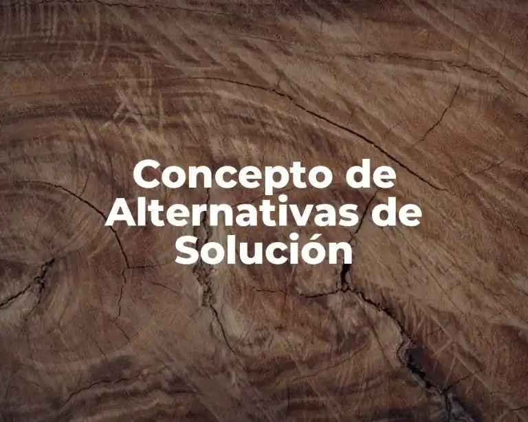 Concepto de Alternativas de Solución