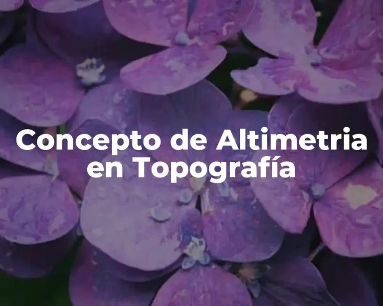 Concepto de Altimetria en Topografía