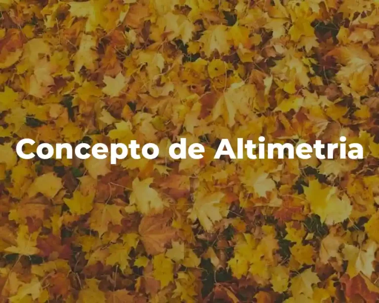 Concepto de Altimetria