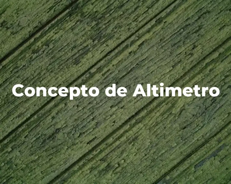 Concepto de Altimetro