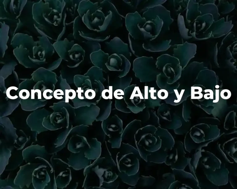 Concepto de Alto y Bajo
