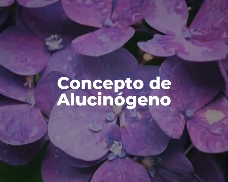 Concepto de Alucinógeno