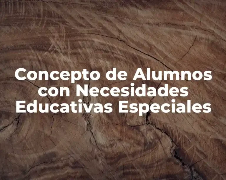 Concepto de Alumnos con Necesidades Educativas Especiales