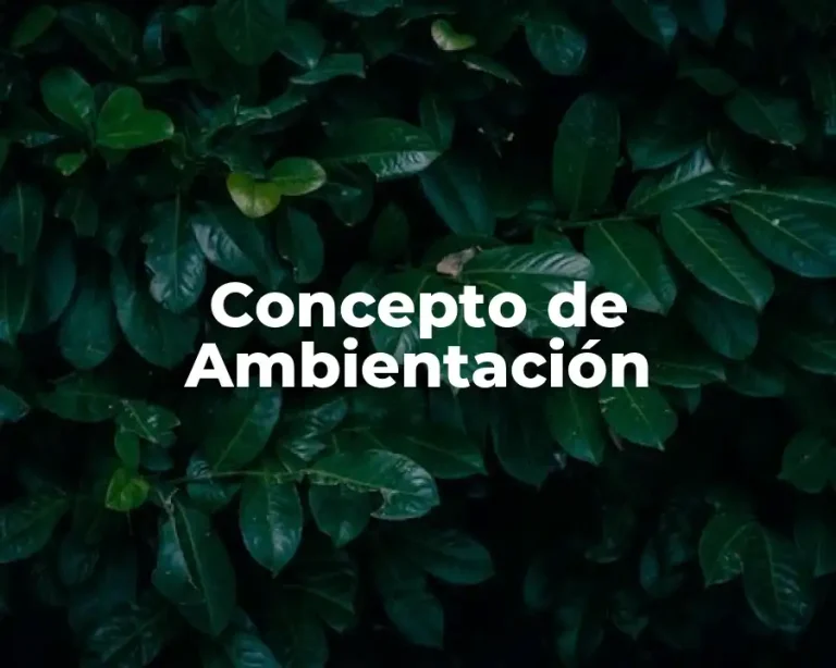 Concepto de Ambientación