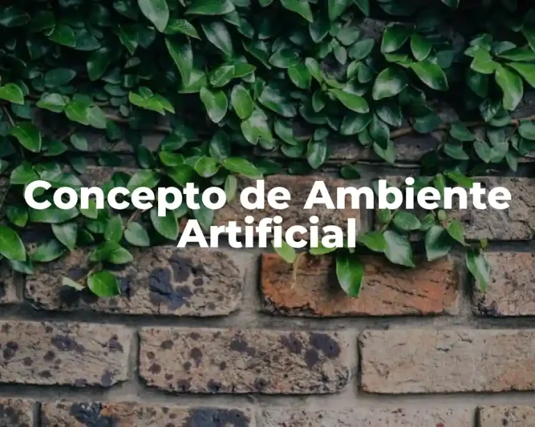 Concepto de Ambiente Artificial
