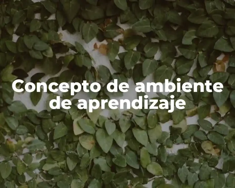 Concepto de ambiente de aprendizaje