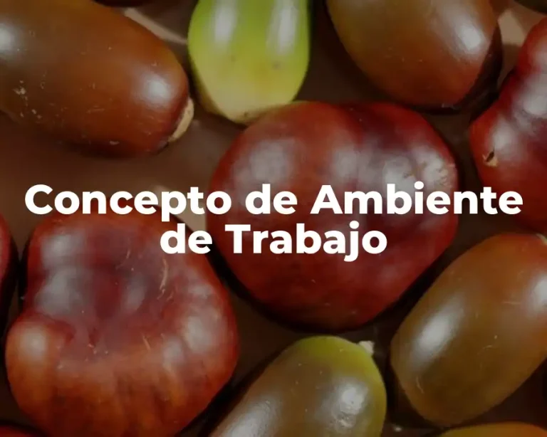Concepto de Ambiente de Trabajo