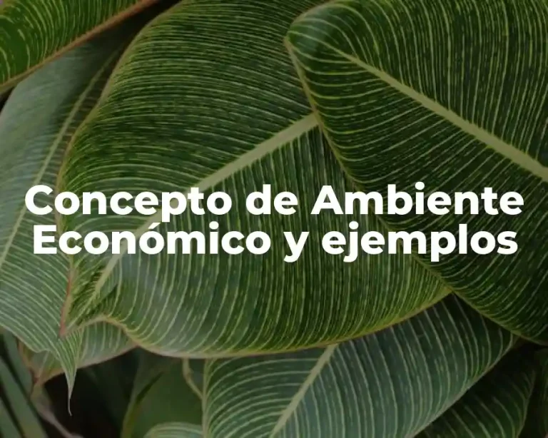 Concepto de Ambiente Económico y ejemplos