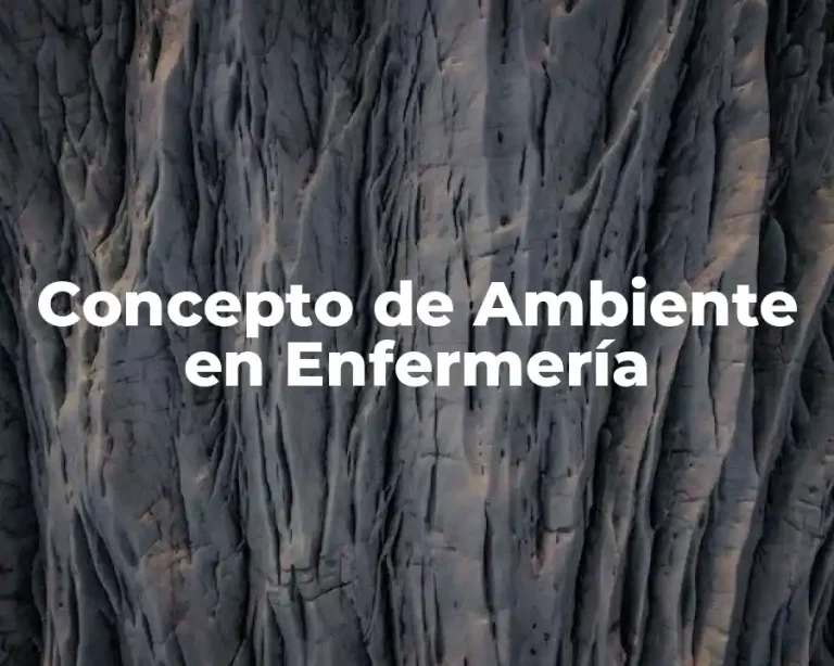 Concepto de Ambiente en Enfermería