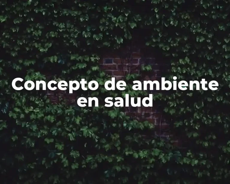 Concepto de ambiente en salud