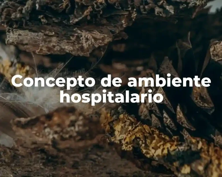 Concepto de ambiente hospitalario