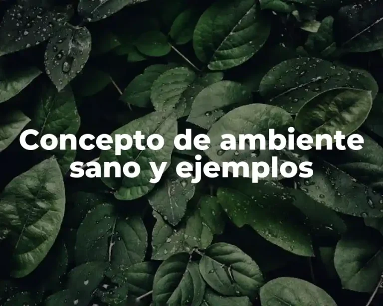Concepto de ambiente sano y ejemplos