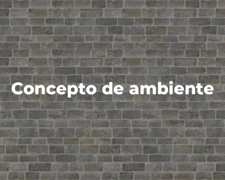 Concepto de ambiente