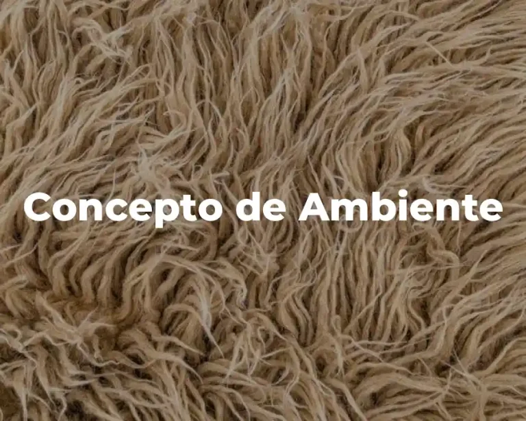 Concepto de Ambiente