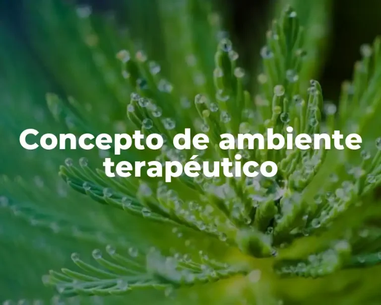 Concepto de Ambiente Terapéutico