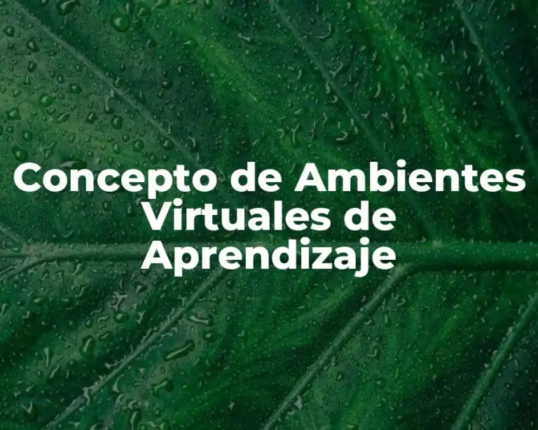 Concepto de Ambientes Virtuales de Aprendizaje