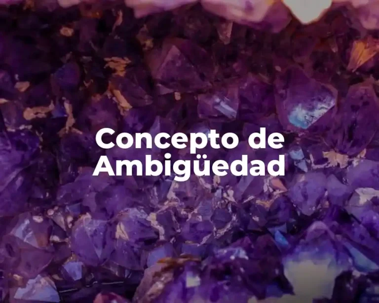 Concepto de Ambigüedad