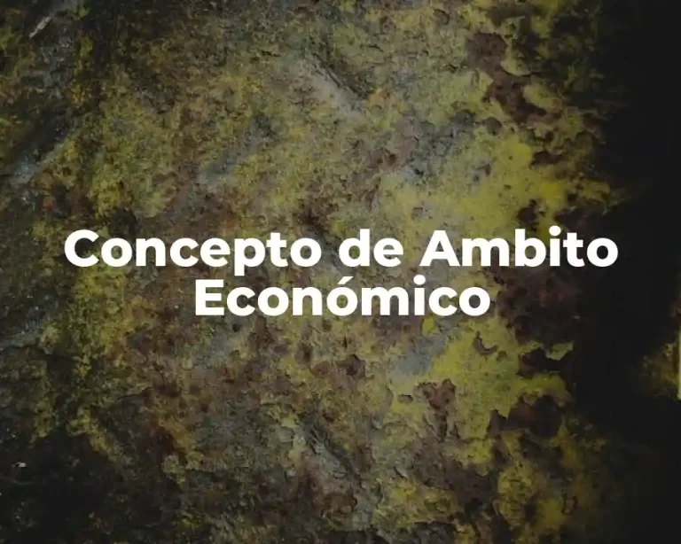 Concepto de Ambito Económico