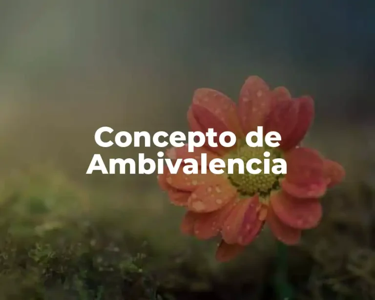 Concepto de Ambivalencia