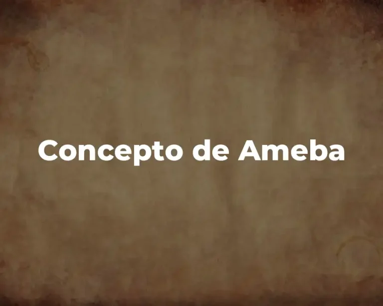 Concepto de Ameba
