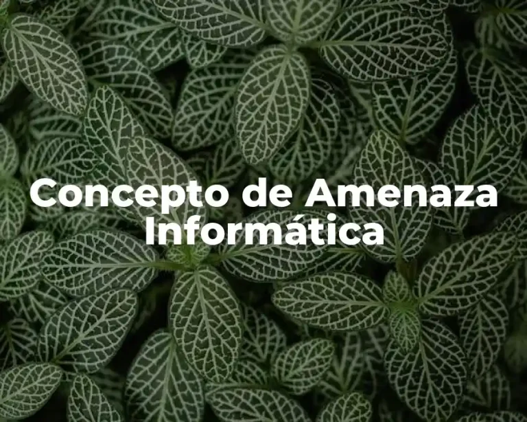 Concepto de Amenaza Informática