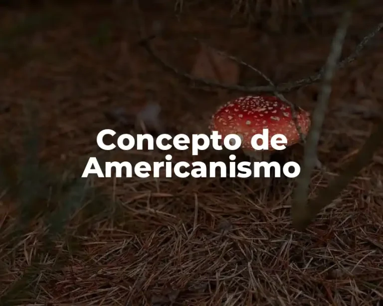 Concepto de Americanismo