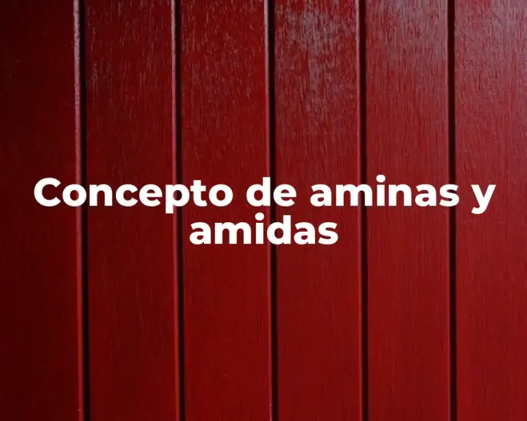 Concepto de aminas y amidas