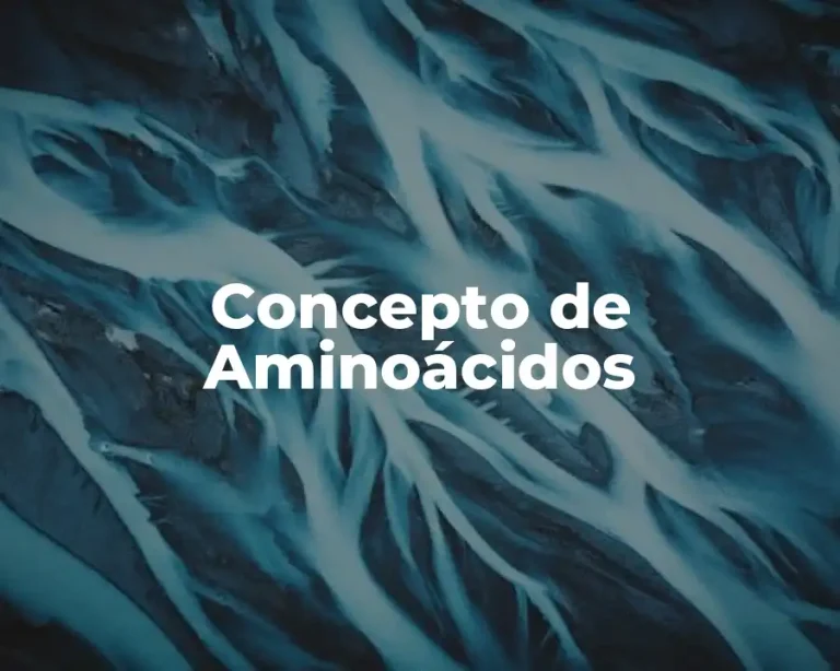 Concepto de Aminoácidos