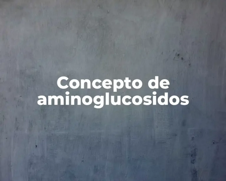 Concepto de aminoglucosidos