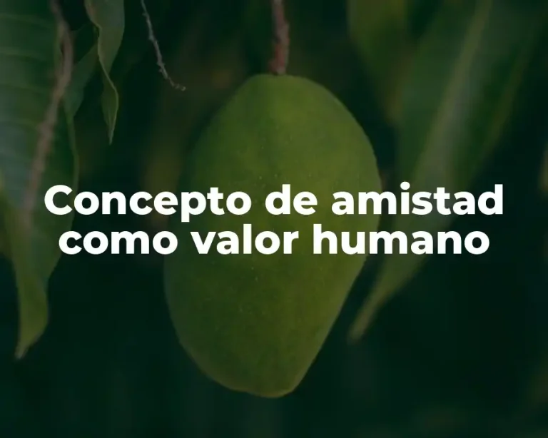 Concepto de amistad como valor humano
