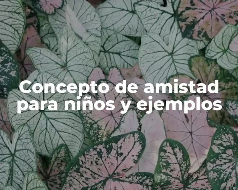 Concepto de amistad para niños y ejemplos