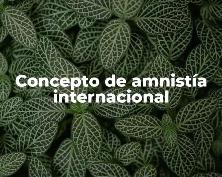 Concepto de amnistía internacional