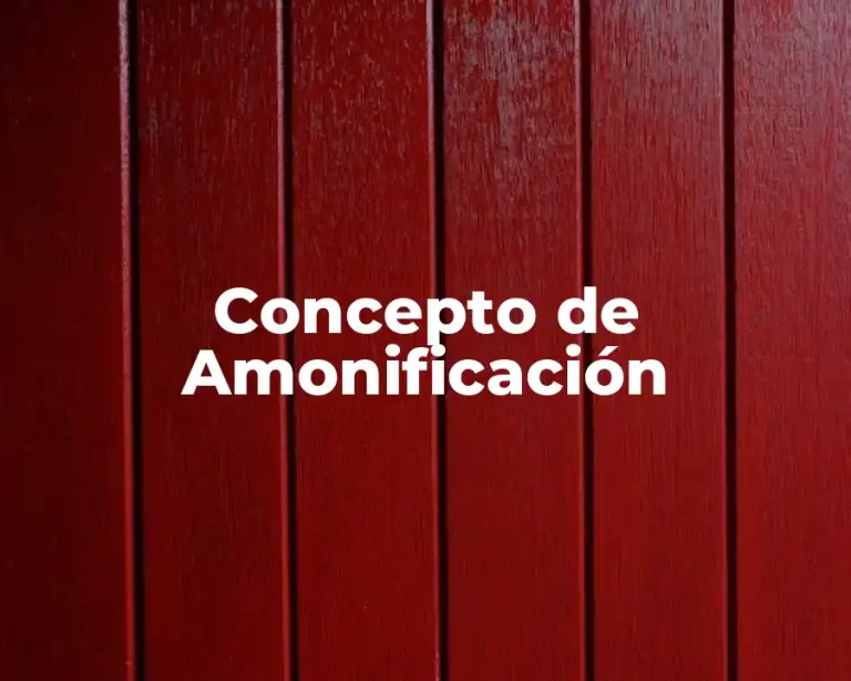 Concepto de Amonificación