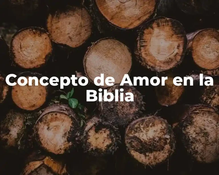 Concepto de Amor en la Biblia