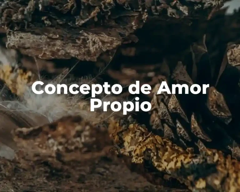 Concepto de Amor Propio