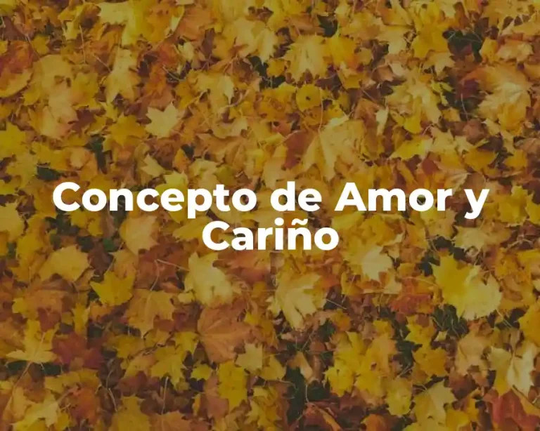 Concepto de Amor y Cariño